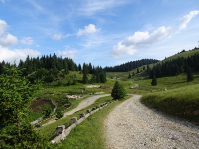DSC02135.JPG