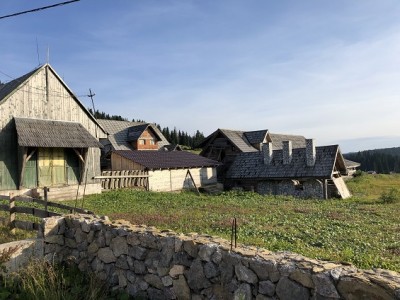 IMG_8716.JPG