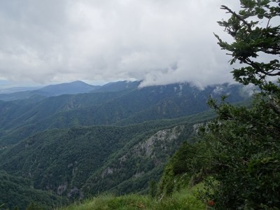 DSC02153.JPG