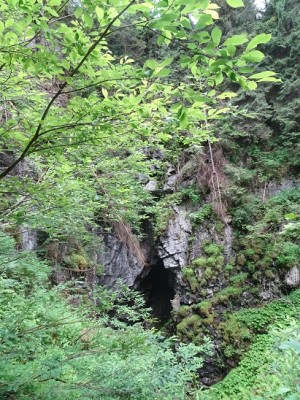 DSC02270.JPG