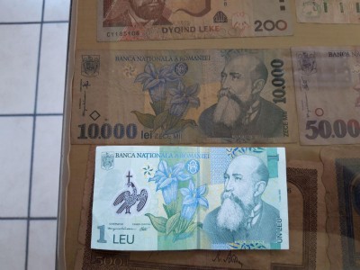 1Leu.jpg