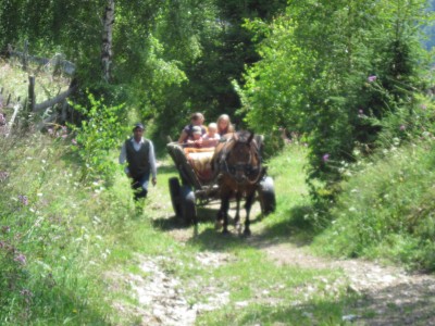 von Vasile´s Hof zum Fahrweg