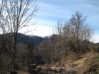 ov_img_0398.jpg