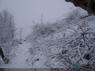 SS854096.JPG