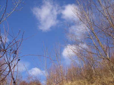 SS854037.JPG