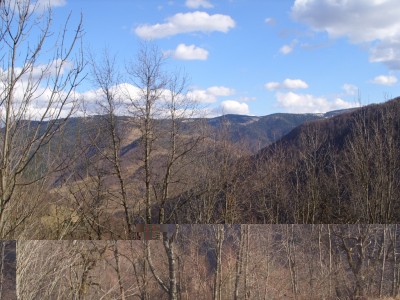 SS854044.JPG