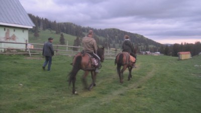 Abendlicher Ausritt