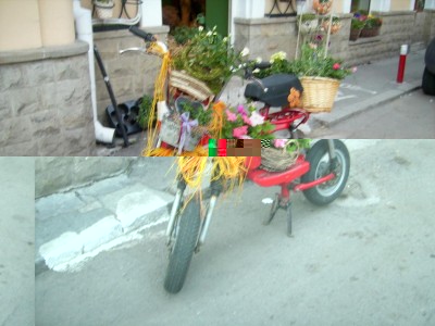 Auslage eines Blumenladens.JPG